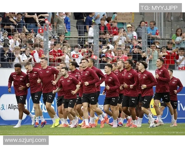 九十年代瑞士足球巨星回顾与时代印记分析